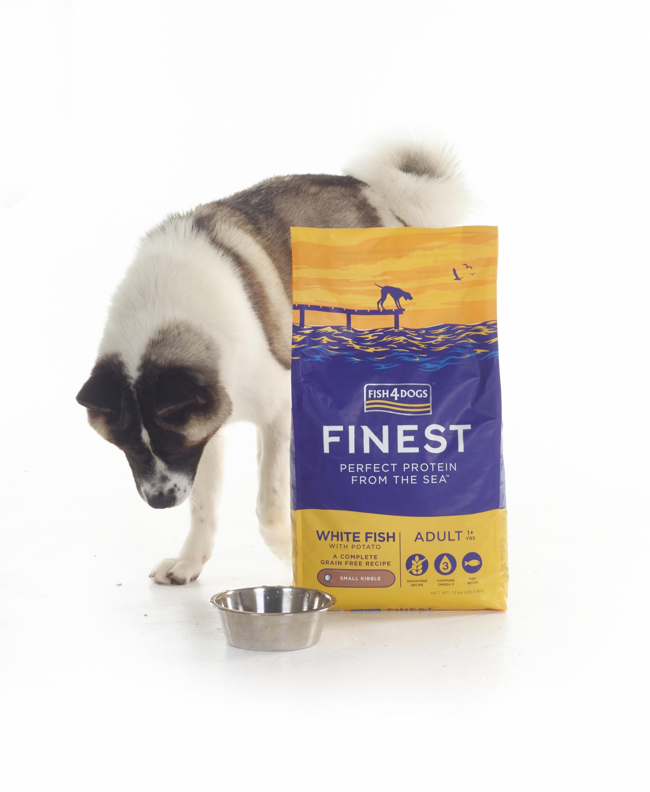 Amazon.co.jp: FISH4DOGS フィッシュ4ドッグ ドッグフード ファイ